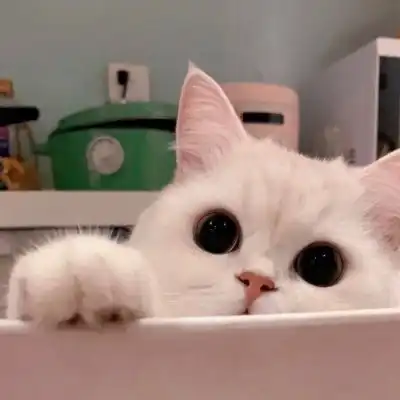 沈星晚可爱卡通背景图