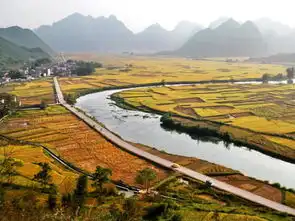 青春是一场惘然和迷茫的旅途