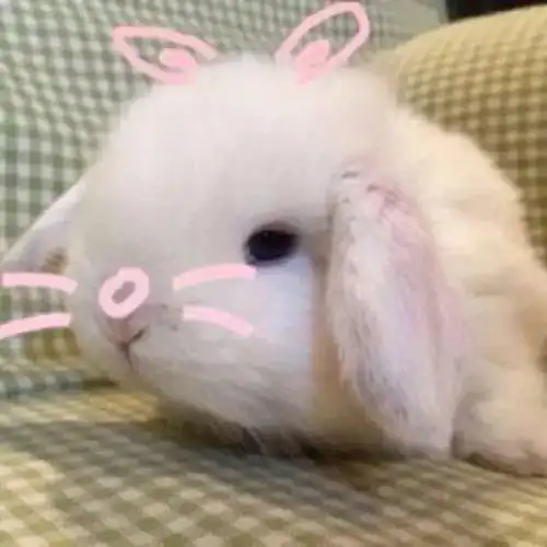 萌系头像天冷了,想喝各种各样的汤