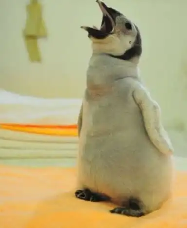 开心一刻不知道怎么得罪了一个初三的小痞子