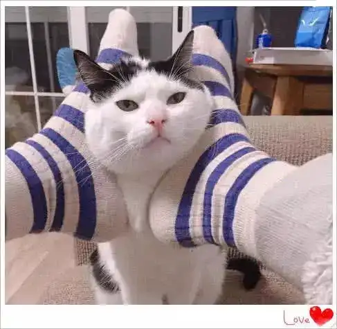 最不像情头的情侣头像,班主任都发现不了,00后安排