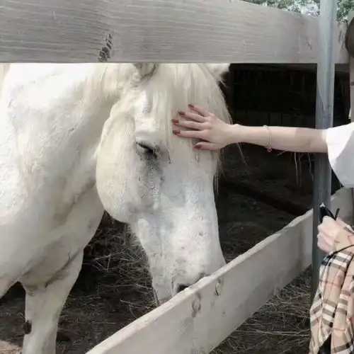 一遥真人情侣头像对象不是人系列持续更新