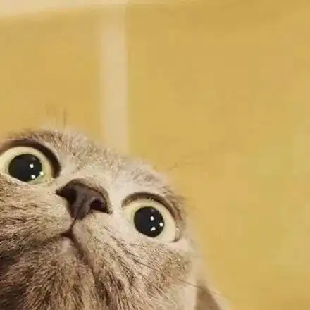 猫系头像二次元男猫咪