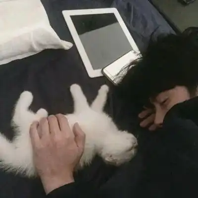 真人微信男头明月直入无心可猜