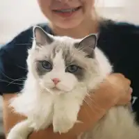 带猫狗的男生头像