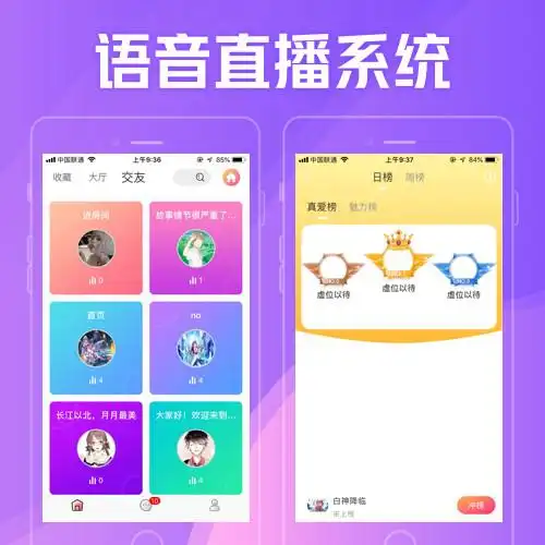 一对一语音聊天系统开发方案