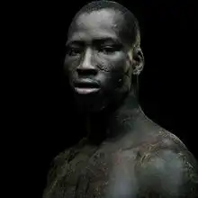 体育专题类组图二等奖