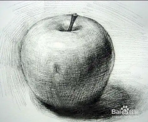 素描如何才可以画好一个苹果