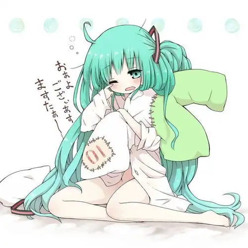 初音未来15期