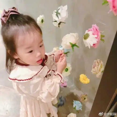 女儿被攻击智力不健全,伊能静怒怼网友