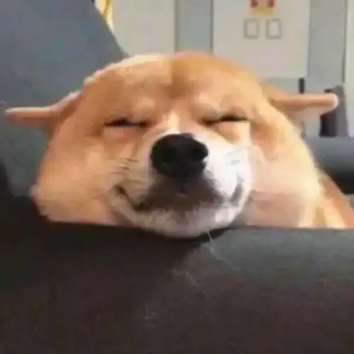 头像图片男动漫沙雕