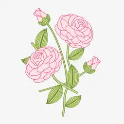 卡通手绘粉色的玫瑰花图片素材其他格式下载动漫人物大全