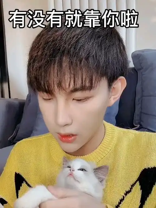 快叫你的朋友来吸小奶猫的欧气,人不如狗系列