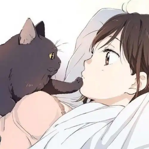 慢慢来谁还没有一个努力的过程