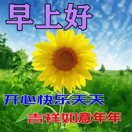 最美好的早上好问候语,积极阳光心态的句子