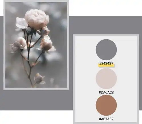 遇见色彩优雅霜灰色,清冷弥漫在薄雾晨露间