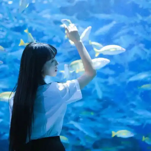 有知道这样的闺蜜头像的吗另外一张是什么样子的