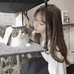 欧美系头像女抱猫动漫头