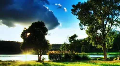 离婚五年再见前夫,他告诉我余生做个旺夫的女人,你就赢了