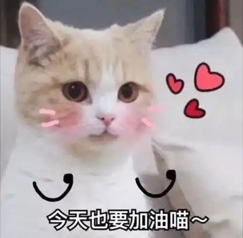 有哪些能表达奋斗意思的微信头像