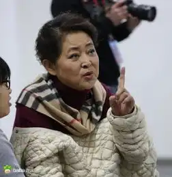 爱国不分在国内与国外,倪萍移民...哈哈.mx