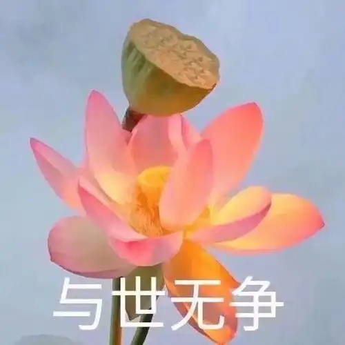 头像丨人潮好拥挤我却只想爱你