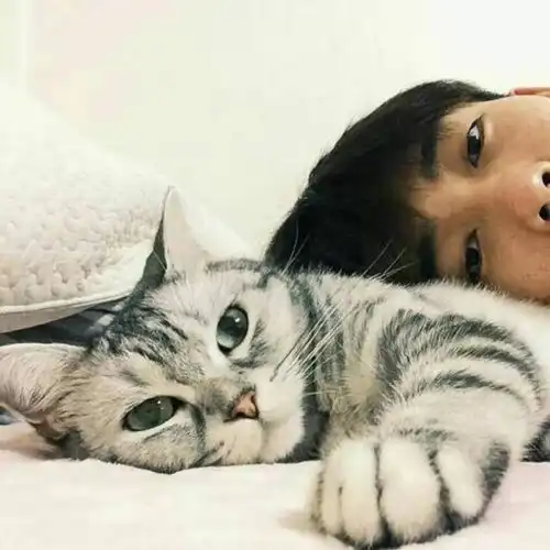 2018年,我和王思聪都没有完成我们的flag