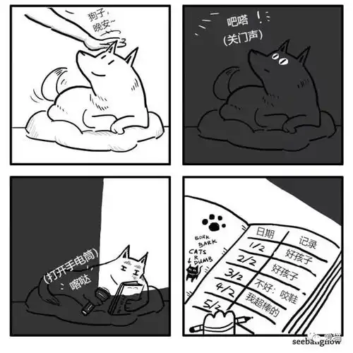 我家狗养了好多年,我一叫它就过来我家猫也养了好多年,它一叫我就过来