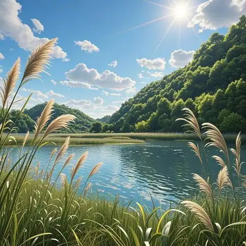 越用越顺的上等风水头像