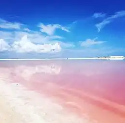少女心炸裂全球最性感的粉色景点,你去过吗