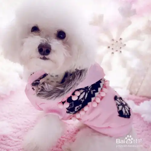 和喜欢的女孩子聊天该聊那些话题呢