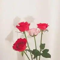 2019带来财运微信头像2019会走财运的头像图片