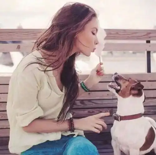 算爱心选这一次,身材味蕾和钱包要同时满足