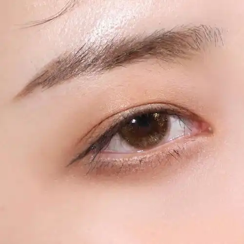 猫系犬系妆容教程,帮你找到最适合自己的风格