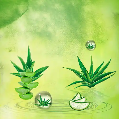 补水芦荟化妆品主图背景图片素材免费下载psd格式800800像素熊猫办公