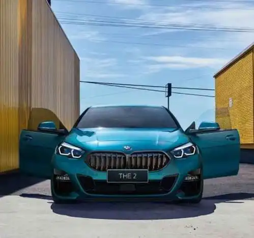 个性系头像宝马