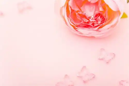 粉红系背景图低饱和度自然背景高清素材页面网页平面电商创意素材素材