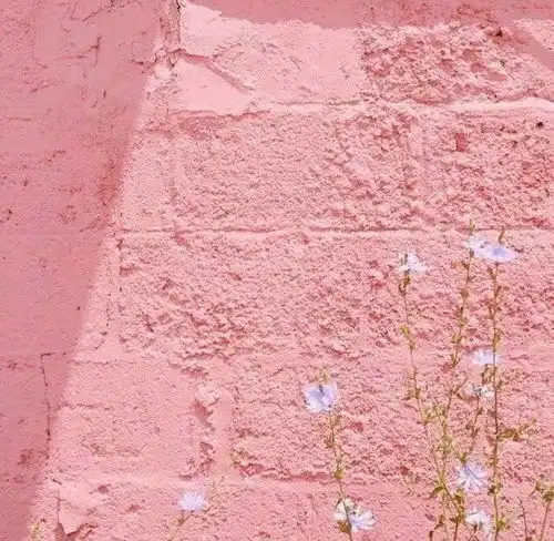 你好,12月5日人心是相对的,以真换真感情是相互的,用心暖心