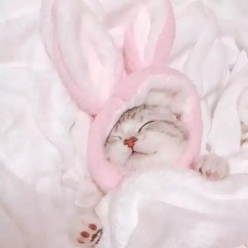 谈恋爱的两个人,吵架是可以的