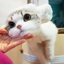 男人是不是你对他越好,他就会觉得对你不屑一顾