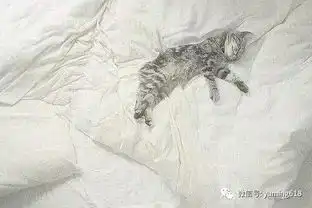 那远去的旧时光,雕刻了无数缱绻的笑容