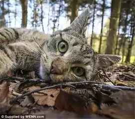 这对环游世界的情侣,不拍情侣照竟拍这些蠢萌的动物