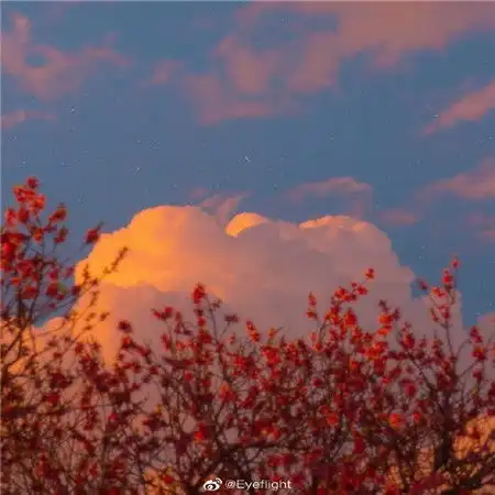 高雅有意境的微信头像