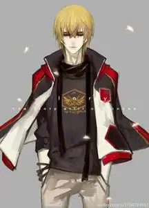 求全职高手系列的图片з