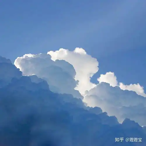 拿走不谢,好看的治愈系朋友圈背景图