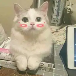 有没有和这个图片相似的,最好是可爱的狗狗