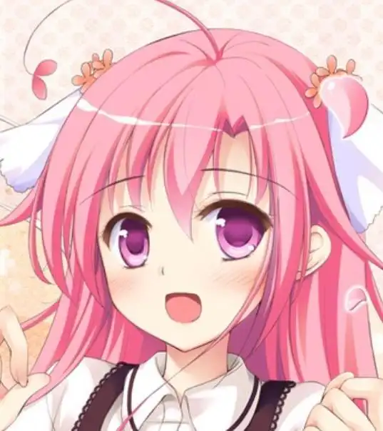 二次元少女可爱粉红系漂
