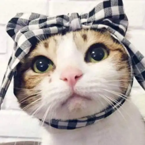 幽默笑话前任结婚时,我随礼300,孩子满月给了500