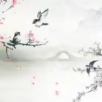 耳朵怀孕系列古风双耳道