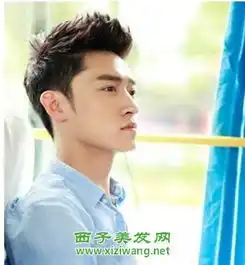 哪一个发型最好看